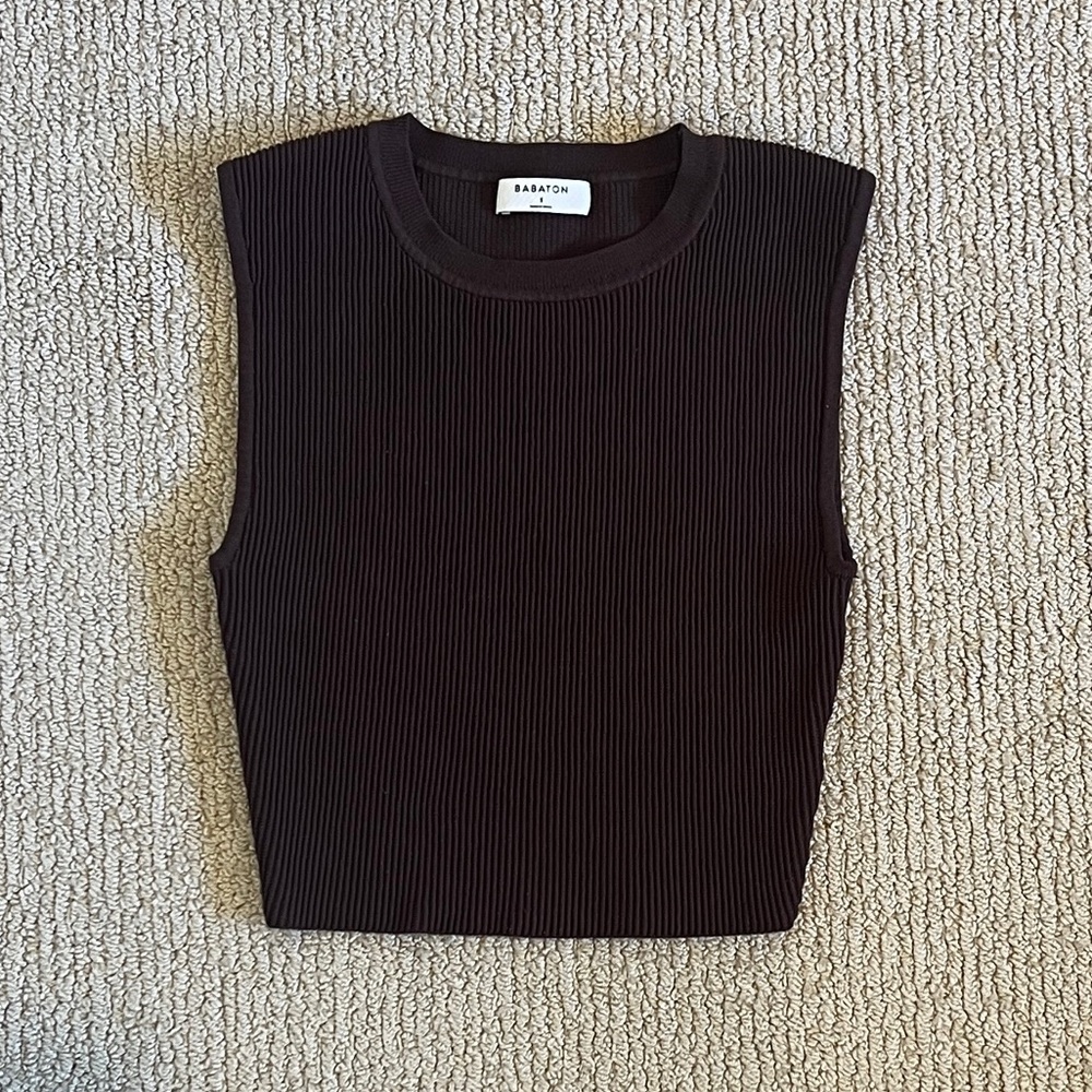 Aritzia Babaton Pia Sculpt Knit Tank Brown - S